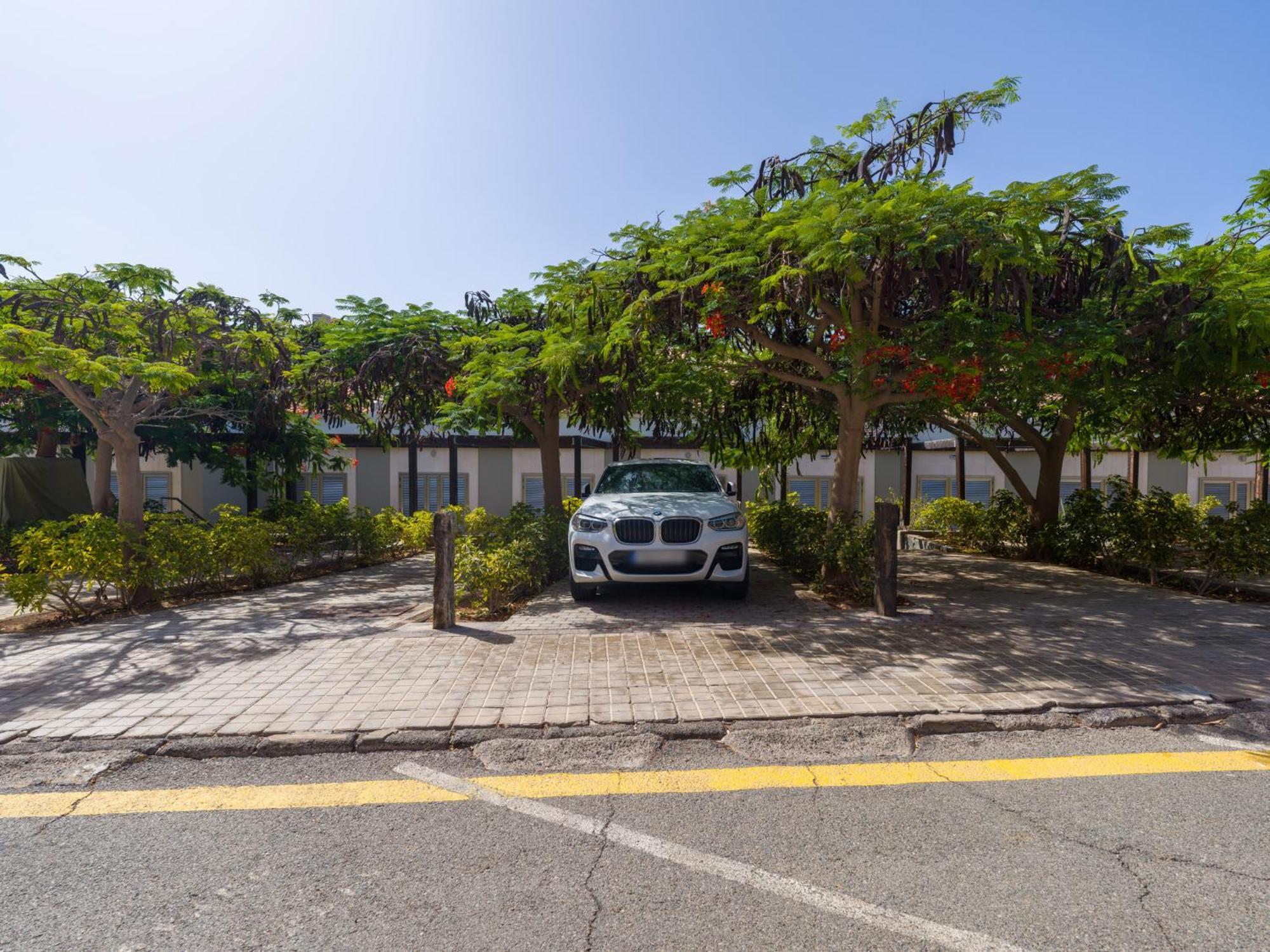 Blue Marlin Apartment - Gran Canaria Stays Pasito Blanco Exterior foto